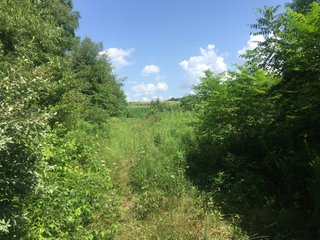 Property photo 7 - ABSOLUTE AUCTION - 152+/- ACRES IN 7 TRACTS IN NOBLE COUNTY, INDIANA