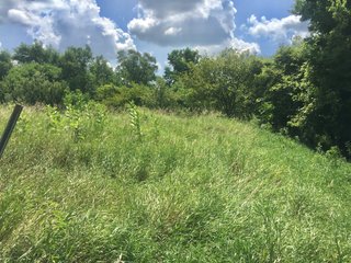 Property photo 1 - ABSOLUTE AUCTION - 152+/- ACRES IN 7 TRACTS IN NOBLE COUNTY, INDIANA