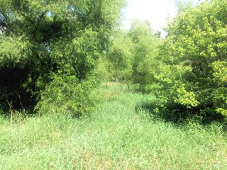 Property photo 2 - ABSOLUTE AUCTION - 152+/- ACRES IN 7 TRACTS IN NOBLE COUNTY, INDIANA