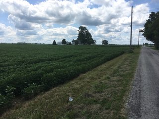 Property photo 24 - LAND AUCTION - 84+/- ACRES IN RUSH COUNTY, INDIANA
