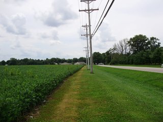 Property photo 9 - OUTSTANDING LAND AUCTION - 170+/- ACRES IN 5 TRACTS IN WAYNE COUNTY, INDIANA