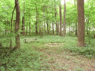 Property photo 5 - OUTSTANDING LAND AUCTION - 170+/- ACRES IN 5 TRACTS IN WAYNE COUNTY, INDIANA