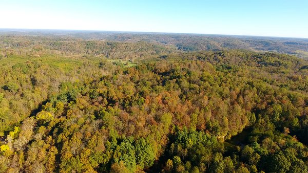 LAND AUCTION - 423+/- ACRES OFFERED IN 14 TRACTS IN MEIGS CO., OHIO