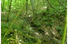 Property photo 3 - LAND AUCTION - 423+/- ACRES OFFERED IN 14 TRACTS IN MEIGS CO., OHIO