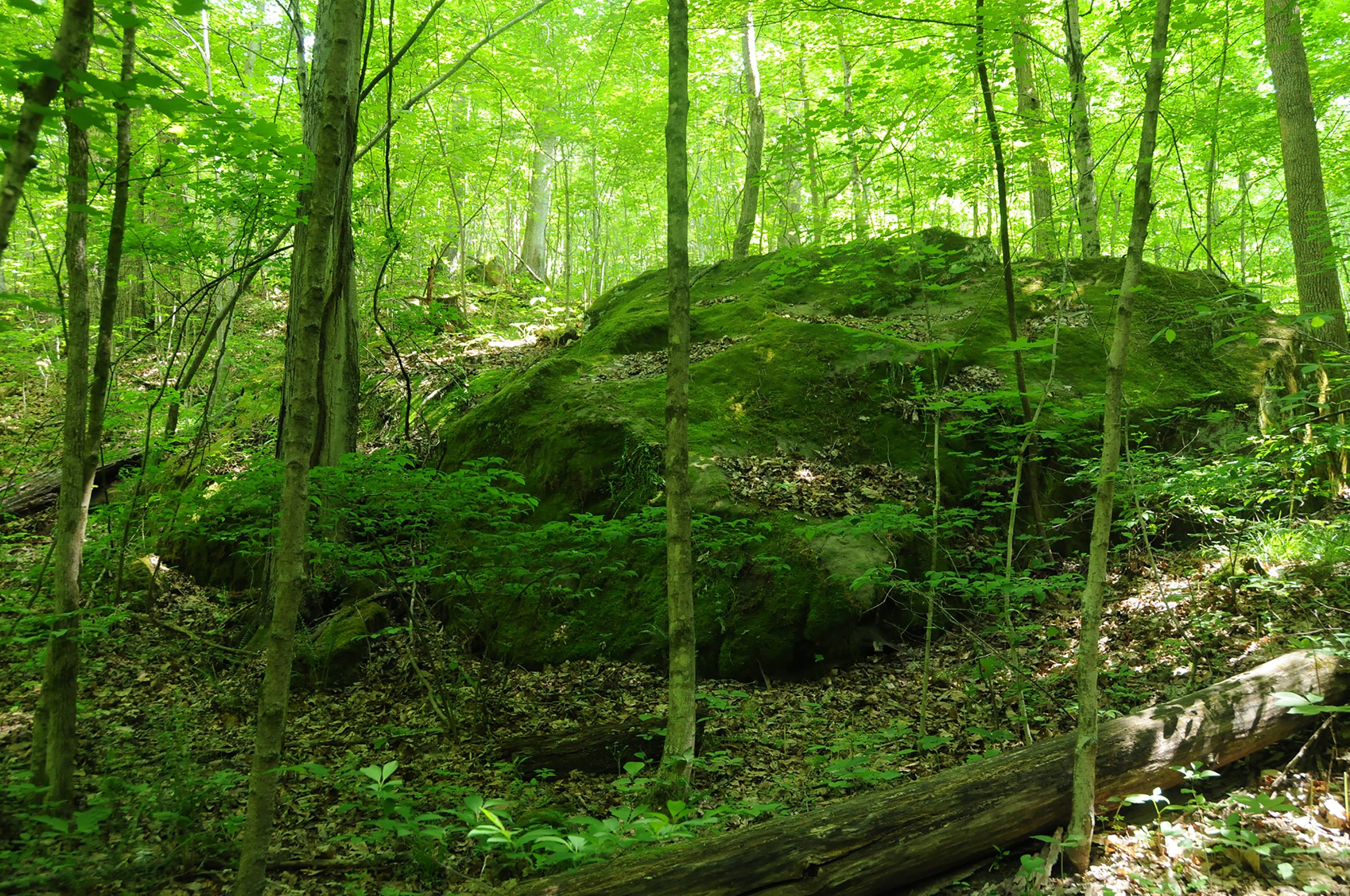 Property photo 4 - LAND AUCTION - 423+/- ACRES OFFERED IN 14 TRACTS IN MEIGS CO., OHIO
