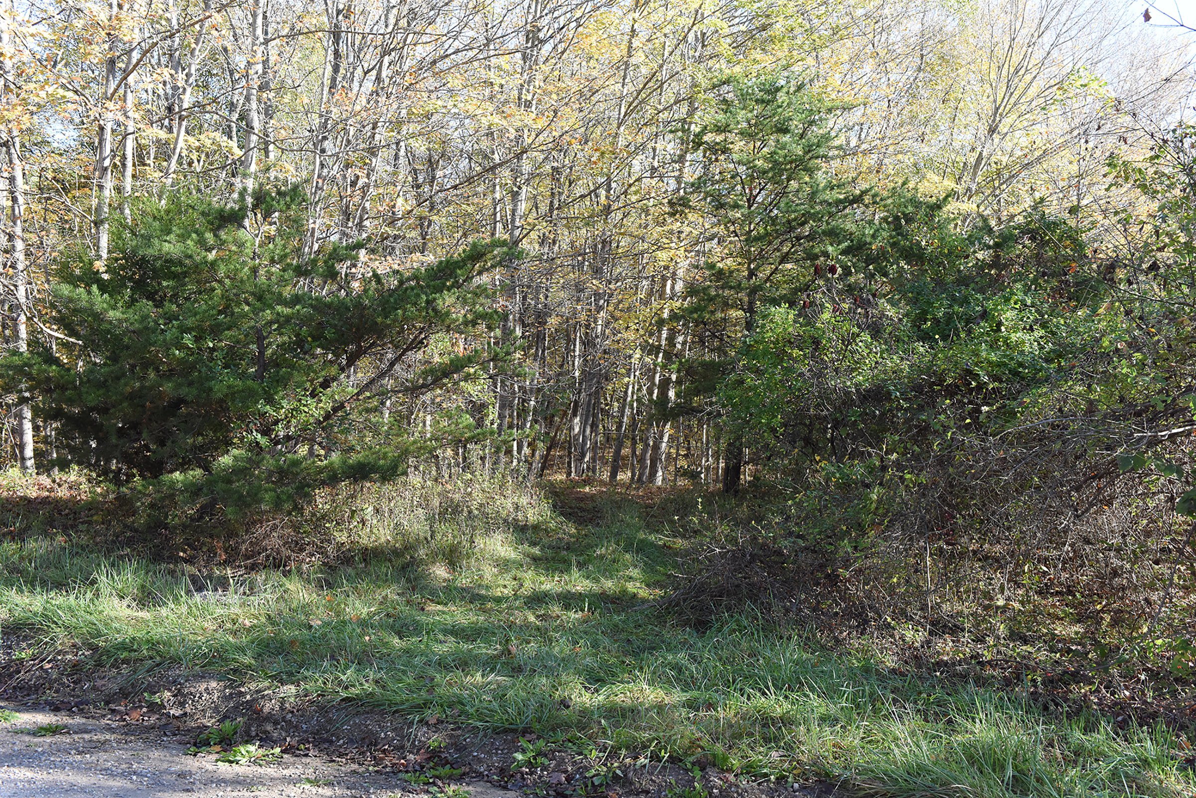 Property photo 2 - LAND AUCTION - 423+/- ACRES OFFERED IN 14 TRACTS IN MEIGS CO., OHIO