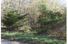 Property photo 2 - LAND AUCTION - 423+/- ACRES OFFERED IN 14 TRACTS IN MEIGS CO., OHIO