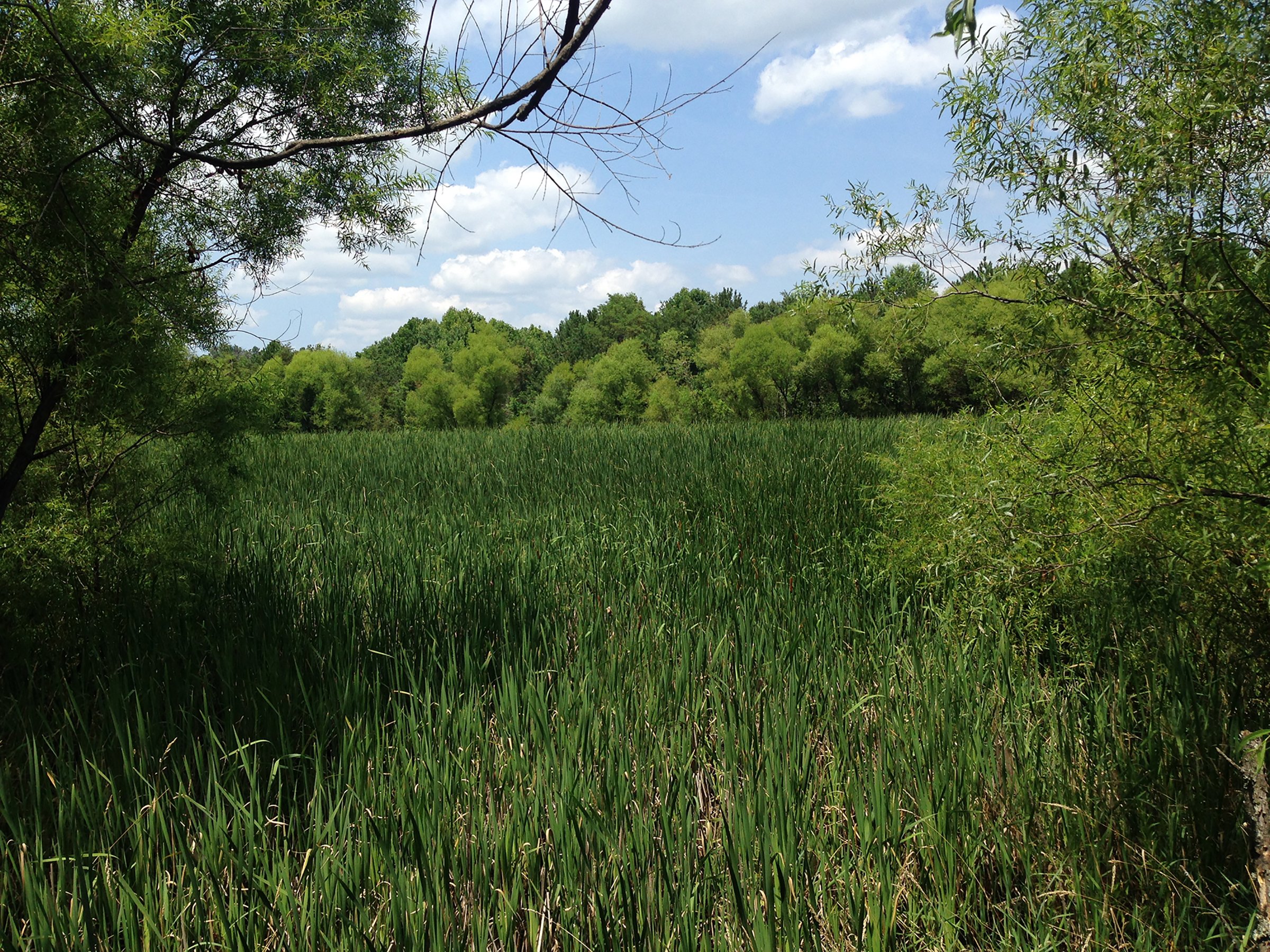 Property photo 1 - LAND AUCTION - 423+/- ACRES OFFERED IN 14 TRACTS IN MEIGS CO., OHIO
