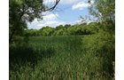Property photo 1 - LAND AUCTION - 423+/- ACRES OFFERED IN 14 TRACTS IN MEIGS CO., OHIO