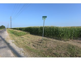 TRACT 3 - ILLINOIS LAND AUCTION - 4,810+/- ACRES OFFERED IN 85 TRACTS IN FRANKLIN, WILLIAMSON, HAMILTON & SALINE COUNTIES, ILLINOIS