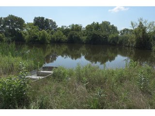 TRACT 8 - ILLINOIS LAND AUCTION - 4,810+/- ACRES OFFERED IN 85 TRACTS IN FRANKLIN, WILLIAMSON, HAMILTON & SALINE COUNTIES, ILLINOIS