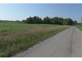 TRACT 11 - ILLINOIS LAND AUCTION - 4,810+/- ACRES OFFERED IN 85 TRACTS IN FRANKLIN, WILLIAMSON, HAMILTON & SALINE COUNTIES, ILLINOIS