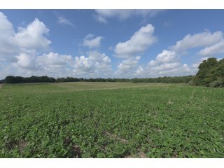 TRACT 19 - ILLINOIS LAND AUCTION - 4,810+/- ACRES OFFERED IN 85 TRACTS IN FRANKLIN, WILLIAMSON, HAMILTON & SALINE COUNTIES, ILLINOIS
