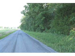 TRACT 23 - ILLINOIS LAND AUCTION - 4,810+/- ACRES OFFERED IN 85 TRACTS IN FRANKLIN, WILLIAMSON, HAMILTON & SALINE COUNTIES, ILLINOIS