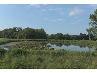TRACT 25 - ILLINOIS LAND AUCTION - 4,810+/- ACRES OFFERED IN 85 TRACTS IN FRANKLIN, WILLIAMSON, HAMILTON & SALINE COUNTIES, ILLINOIS