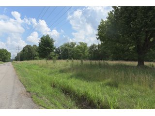 TRACT 26 - ILLINOIS LAND AUCTION - 4,810+/- ACRES OFFERED IN 85 TRACTS IN FRANKLIN, WILLIAMSON, HAMILTON & SALINE COUNTIES, ILLINOIS