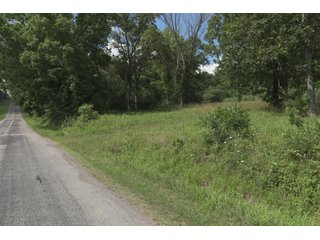 TRACT 28 - ILLINOIS LAND AUCTION - 4,810+/- ACRES OFFERED IN 85 TRACTS IN FRANKLIN, WILLIAMSON, HAMILTON & SALINE COUNTIES, ILLINOIS