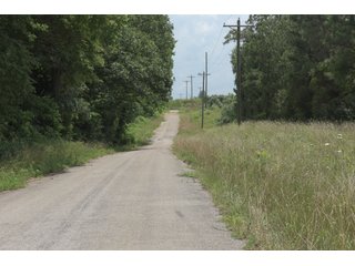 TRACT 42 - ILLINOIS LAND AUCTION - 4,810+/- ACRES OFFERED IN 85 TRACTS IN FRANKLIN, WILLIAMSON, HAMILTON & SALINE COUNTIES, ILLINOIS