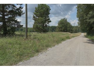 TRACT 42 - ILLINOIS LAND AUCTION - 4,810+/- ACRES OFFERED IN 85 TRACTS IN FRANKLIN, WILLIAMSON, HAMILTON & SALINE COUNTIES, ILLINOIS