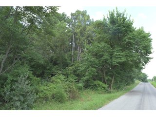 TRACT 54 - ILLINOIS LAND AUCTION - 4,810+/- ACRES OFFERED IN 85 TRACTS IN FRANKLIN, WILLIAMSON, HAMILTON & SALINE COUNTIES, ILLINOIS