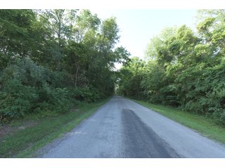 TRACT 76 - ILLINOIS LAND AUCTION - 4,810+/- ACRES OFFERED IN 85 TRACTS IN FRANKLIN, WILLIAMSON, HAMILTON & SALINE COUNTIES, ILLINOIS