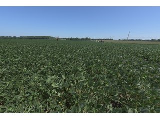 Property photo 74 - LAND AUCTION - 1,193+/- ACRES IN 14 TRACTS IN PIKE & GIBSON COUNTY, INDIANA