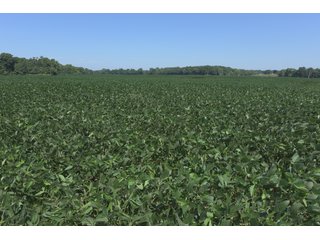 Property photo 83 - LAND AUCTION - 1,193+/- ACRES IN 14 TRACTS IN PIKE & GIBSON COUNTY, INDIANA