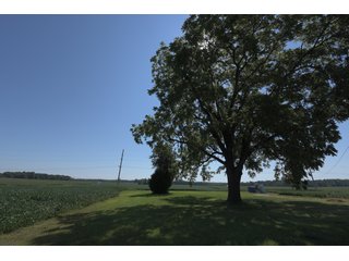 Property photo 71 - LAND AUCTION - 1,193+/- ACRES IN 14 TRACTS IN PIKE & GIBSON COUNTY, INDIANA