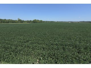 Property photo 77 - LAND AUCTION - 1,193+/- ACRES IN 14 TRACTS IN PIKE & GIBSON COUNTY, INDIANA