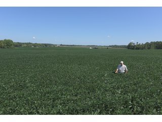TRACT 4 - LAND AUCTION - 1,193+/- ACRES IN 14 TRACTS IN PIKE & GIBSON COUNTY, INDIANA