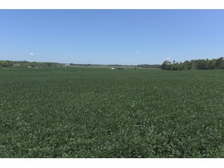 Property photo 78 - LAND AUCTION - 1,193+/- ACRES IN 14 TRACTS IN PIKE & GIBSON COUNTY, INDIANA