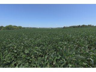 Property photo 72 - LAND AUCTION - 1,193+/- ACRES IN 14 TRACTS IN PIKE & GIBSON COUNTY, INDIANA