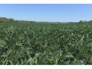 Property photo 68 - LAND AUCTION - 1,193+/- ACRES IN 14 TRACTS IN PIKE & GIBSON COUNTY, INDIANA