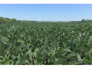 Property photo 69 - LAND AUCTION - 1,193+/- ACRES IN 14 TRACTS IN PIKE & GIBSON COUNTY, INDIANA
