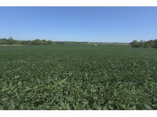 TRACT 9 - LAND AUCTION - 1,193+/- ACRES IN 14 TRACTS IN PIKE & GIBSON COUNTY, INDIANA