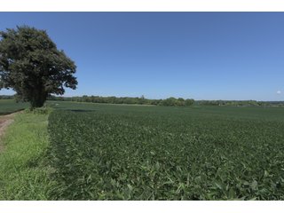 Property photo 70 - LAND AUCTION - 1,193+/- ACRES IN 14 TRACTS IN PIKE & GIBSON COUNTY, INDIANA