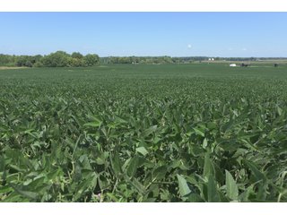 Property photo 79 - LAND AUCTION - 1,193+/- ACRES IN 14 TRACTS IN PIKE & GIBSON COUNTY, INDIANA