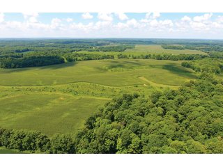 Property photo 1 - LAND AUCTION - 1,193+/- ACRES IN 14 TRACTS IN PIKE & GIBSON COUNTY, INDIANA