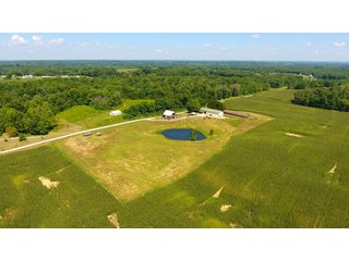 Property photo 32 - LAND AUCTION - 1,193+/- ACRES IN 14 TRACTS IN PIKE & GIBSON COUNTY, INDIANA