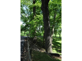 TRACT 4 - REAL ESTATE AUCTION - 2 PRESTIGUOUS HOMES - 66+/- ACRES IN 5 TRACTS IN NOBLE COUNTY, INDIANA