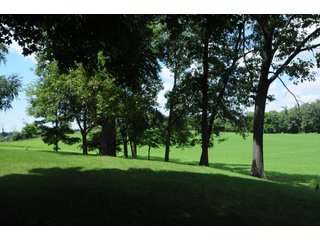 TRACT 4 - REAL ESTATE AUCTION - 2 PRESTIGUOUS HOMES - 66+/- ACRES IN 5 TRACTS IN NOBLE COUNTY, INDIANA