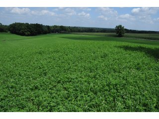 TRACT 3 - REAL ESTATE AUCTION - 2 PRESTIGUOUS HOMES - 66+/- ACRES IN 5 TRACTS IN NOBLE COUNTY, INDIANA