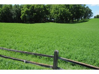 TRACT 4 - REAL ESTATE AUCTION - 2 PRESTIGUOUS HOMES - 66+/- ACRES IN 5 TRACTS IN NOBLE COUNTY, INDIANA