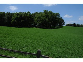 TRACT 4 - REAL ESTATE AUCTION - 2 PRESTIGUOUS HOMES - 66+/- ACRES IN 5 TRACTS IN NOBLE COUNTY, INDIANA