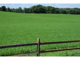 TRACT 3 - REAL ESTATE AUCTION - 2 PRESTIGUOUS HOMES - 66+/- ACRES IN 5 TRACTS IN NOBLE COUNTY, INDIANA