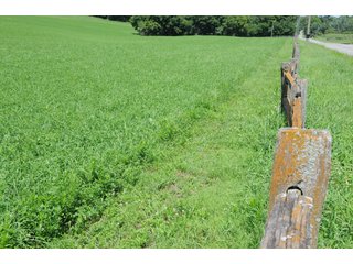 TRACT 3 - REAL ESTATE AUCTION - 2 PRESTIGUOUS HOMES - 66+/- ACRES IN 5 TRACTS IN NOBLE COUNTY, INDIANA