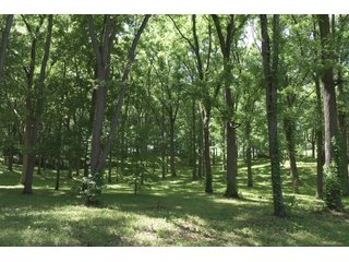 TRACT 4 - REAL ESTATE AUCTION - 2 PRESTIGUOUS HOMES - 66+/- ACRES IN 5 TRACTS IN NOBLE COUNTY, INDIANA