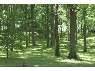 TRACT 4 - REAL ESTATE AUCTION - 2 PRESTIGUOUS HOMES - 66+/- ACRES IN 5 TRACTS IN NOBLE COUNTY, INDIANA