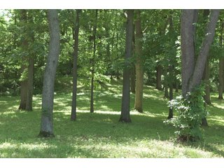 TRACT 4 - REAL ESTATE AUCTION - 2 PRESTIGUOUS HOMES - 66+/- ACRES IN 5 TRACTS IN NOBLE COUNTY, INDIANA