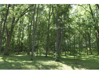 TRACT 4 - REAL ESTATE AUCTION - 2 PRESTIGUOUS HOMES - 66+/- ACRES IN 5 TRACTS IN NOBLE COUNTY, INDIANA